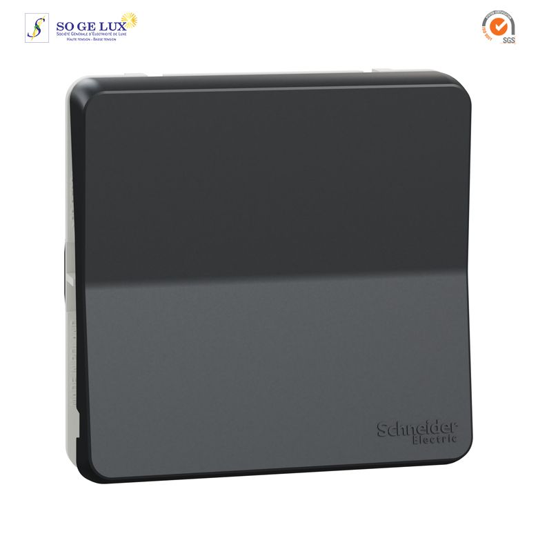 BOUTON POUSSOIR MUREVA, COMPOSABLE-GRIS-SCHMUR35027