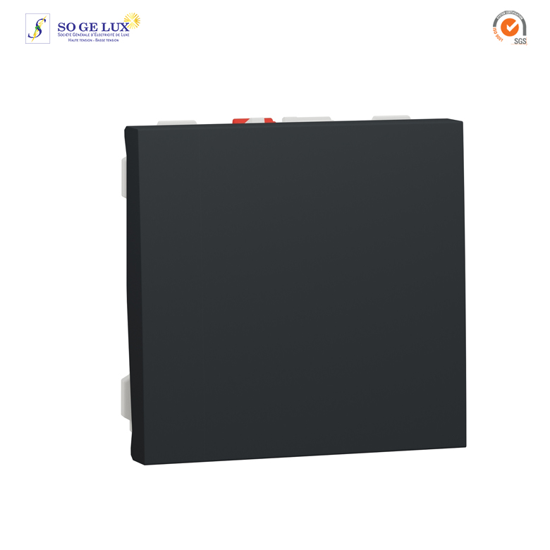 Bouton-poussoir NO - 10A - connex rapid - 2 mod - Anthracite - méca seul - NU320654