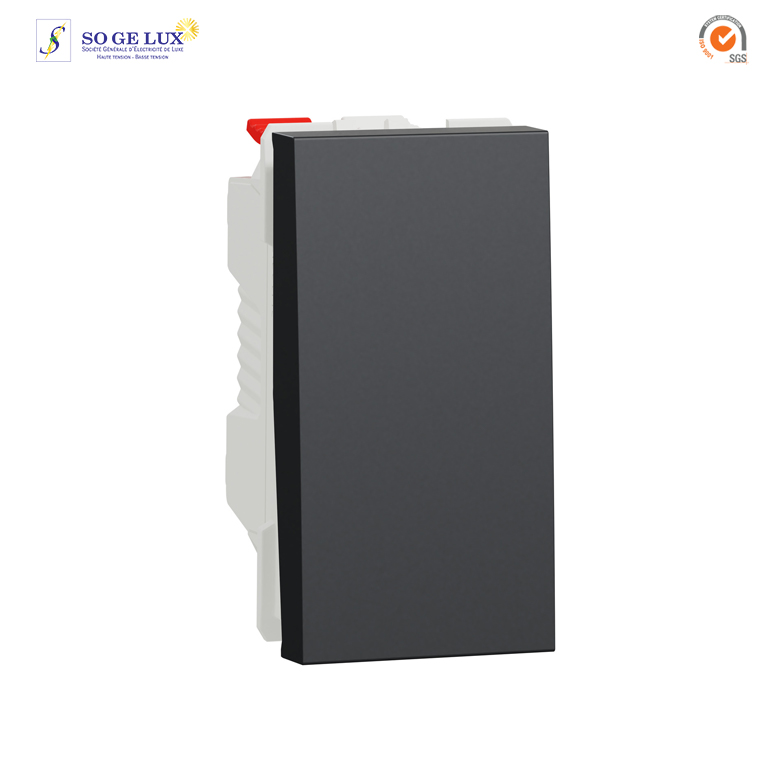 Bouton-poussoir NO - 10A - connex rapide - 1 mod - Anth - méca seul - NU310654