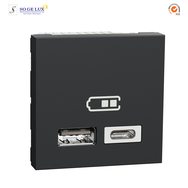 Chargeur USB double - 5Vcc - 1A + 2,1A - 2 modules - Anthra - méca seul-NU341854