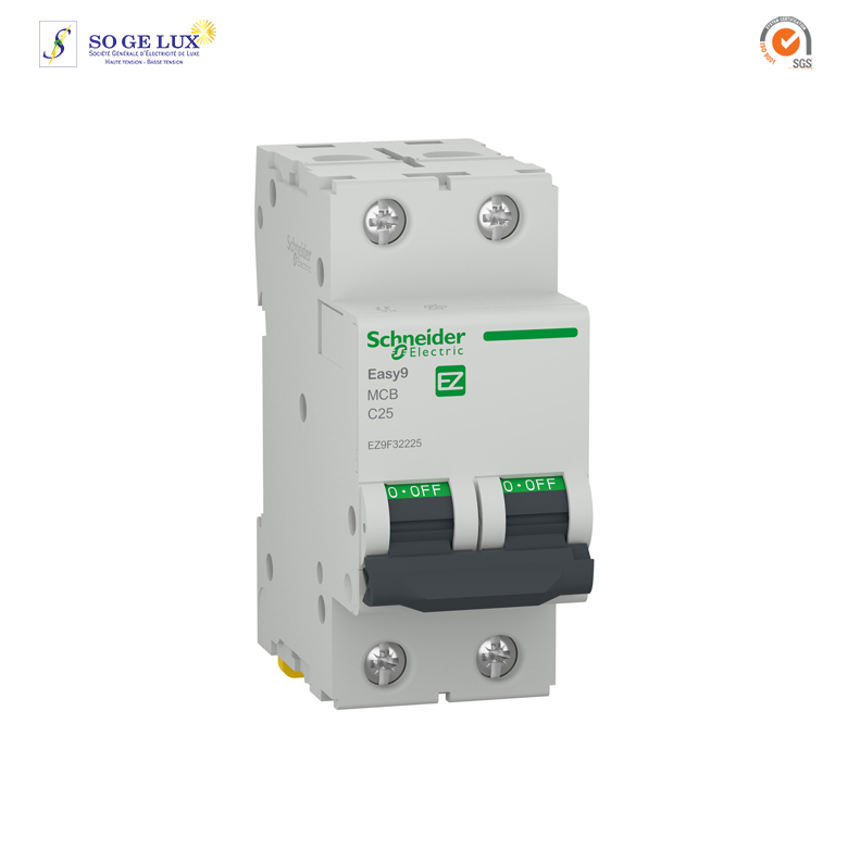 DISJONCTEUR 2P, 25 A, C curve, 4500 A - EZ9F32225