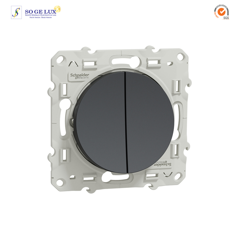 Double Va et vient 10A  Anthracite VIS-S540214
