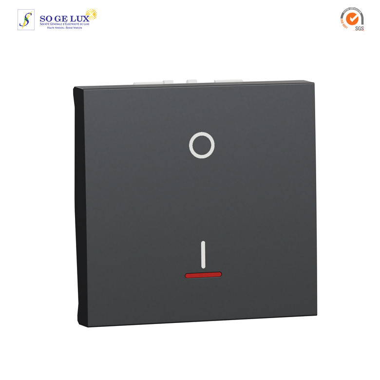 Inter bipolaire lum 2m Anth-NU326254S