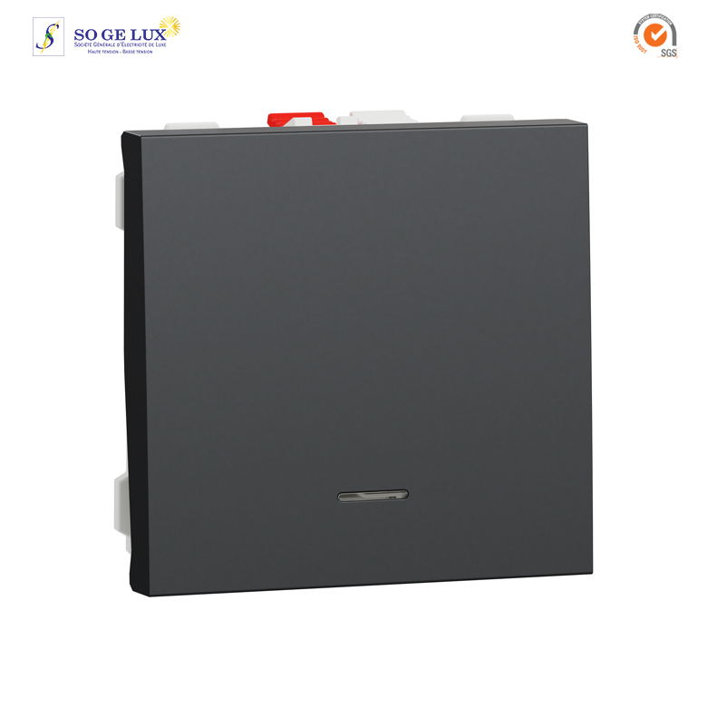 Poussoir lumineux (localisation) - 10A - 2 mod - Anthracite - méca seul - NU320654N