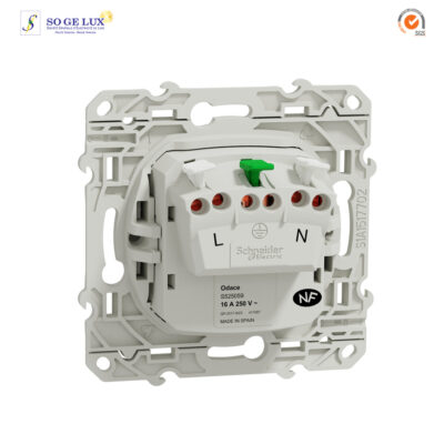Prise 2P+T Française connexions automatiques BLANC GRIFFES-S525059